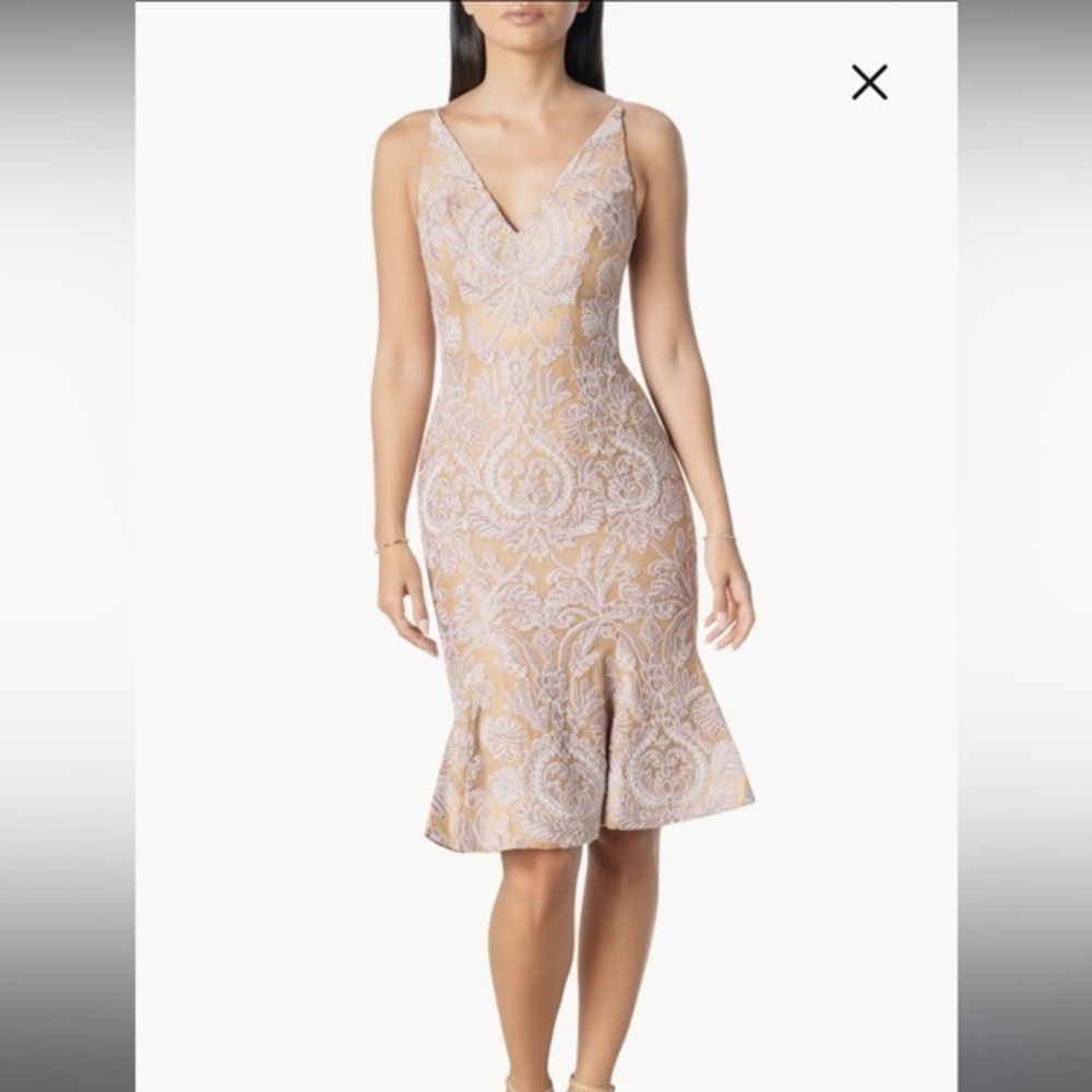 NWT - Dress the Population - Lace Mermaid Dress - Size XS